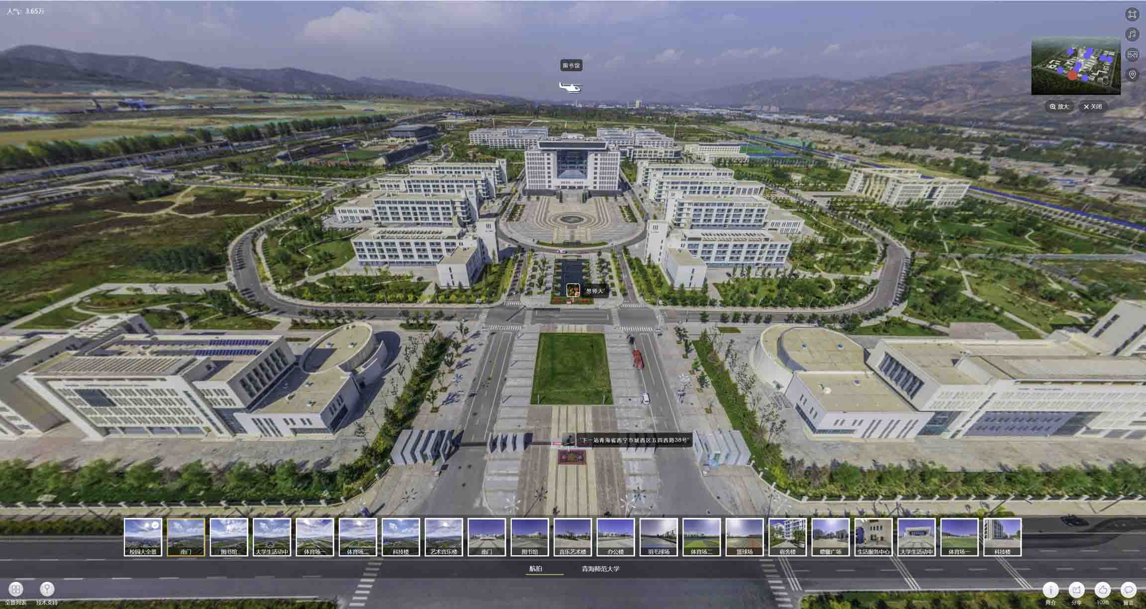 林芝油菜花-惊艳半生的花海仙境